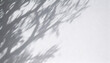 © ura ho - Minimal Abstract Expression of Leaf Shadows on a White Wall