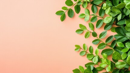 Wall Mural - vibrant moringa leaves - organic superfood concept for health benefits and natural beauty