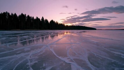 Aufkleber - A stark winter sunrise on a frozen lake with a line of pine trees in the distance and warm pinkish light illuminating the ice.