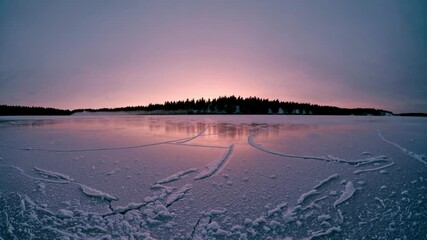 Poster - A stark winter sunrise on a frozen lake with a line of pine trees in the distance and warm pinkish light illuminating the ice.