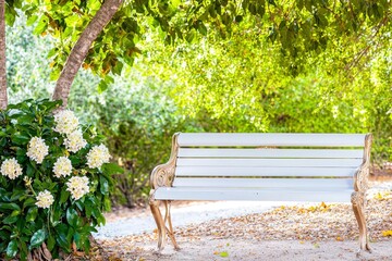 A charming white wooden bench sits in a picturesque European park, surrounded by lush greenery, blooming flowers, and peaceful pathways.  .