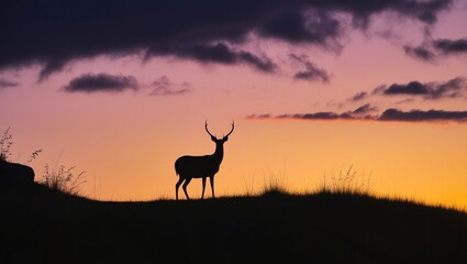 Wall Mural - Sunset Deer Silhouette