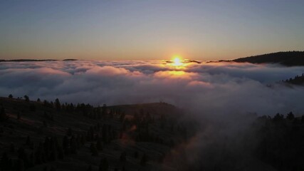 Aufkleber - A sunrise over a dense fog-filled valley, with the tops of rolling hills and distant trees poking through the mist.