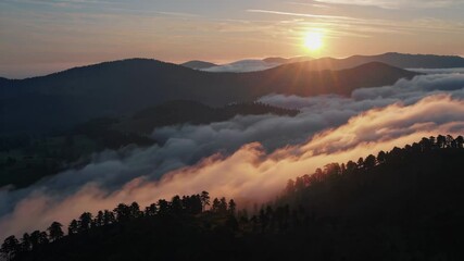 Aufkleber - A sunrise over a dense fog-filled valley, with the tops of rolling hills and distant trees poking through the mist.