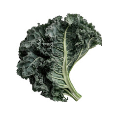 Wall Mural - Fresh Kale Leaf on Black Background