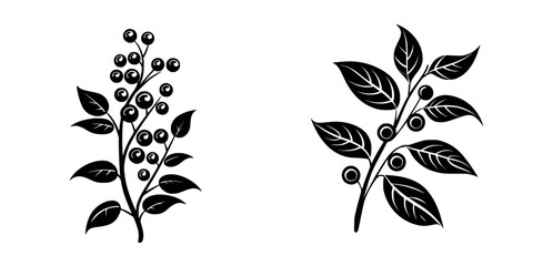 Wall Mural - Botanical illustrations showing detailed black and white representations of berry-bearing plants with leaves