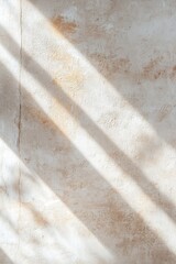 Poster - Sunlight filters through, casting dynamic shadows on a lightly textured concrete wall. The warm tones create an inviting atmosphere in a contemporary indoor setting