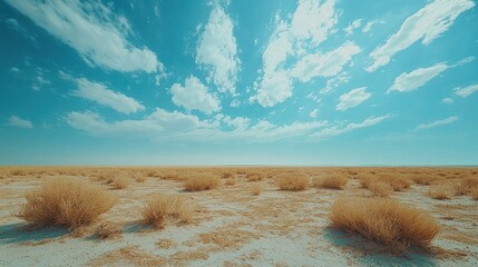 Wall Mural - Vast landscape under bright sky, dry sparse vegetation.
