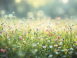 © Creative Catalog - Spring meadow with wildflowers and morning mist