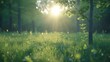 © AGUNG - Sunlit forest meadow, vibrant green grass, trees, nature background, peaceful scene