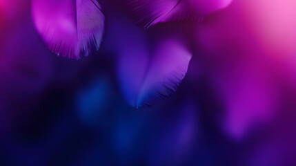 Wall Mural - Violet Purple and Navy Blue Defocused Blurred Motion Gradient Abstract Background Texture, Widescreen