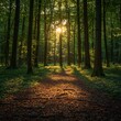 © Bundi - In Veluwe, the Netherlands, explore a panoramic green spring forest walkway filled with mighty deciduous trees (oak, beech, maple), fallen logs, and a carpet of golden leaves, immersing yourself in