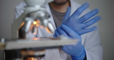 Wall Mural - scientist, dressed in white lab coat, carefully puts on blue gloves as they prepare to examine a mic