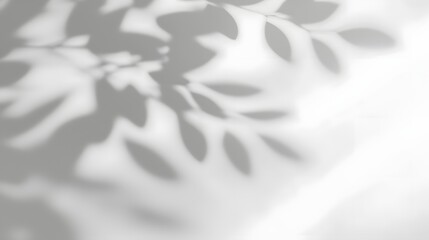 Poster - Soft organic shadows of delicate leaves subtly projected onto a pristine white wall creating a harmonious minimalist and calming natural composition with a serene contemporary aesthetic