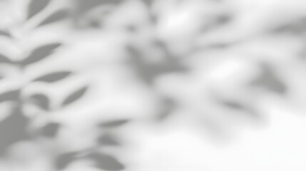 Poster - Minimalist natural tree leaves shadow overlay on a clean white wall background featuring smooth soft edges and an interplay of light and shadow evoking a tranquil and elegant atmosphere