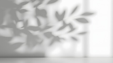 Tranquil and natural tree leaves shadow design element with soft and subtle lighting on a bright white wall background creating a peaceful and stylish aesthetic