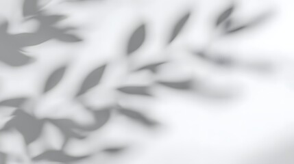 Poster - Subtle and Natural Tree Leaves Shadow on Bright White Wall Background with Soft Lighting Creating a Peaceful and Stylish Design Element