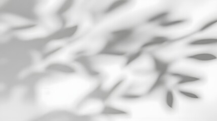 Poster - Soft and dreamy tree leaves shadow overlaying a plain white wall background with subtle light transitions evoking a tranquil and timeless mood  The natural organic foliage pattern creates a calming