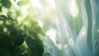 © ALIS ST - Light fabric curtains swaying softly with a garden full of greenery blurred in the background, peaceful setting, no people