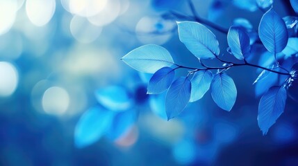 Wall Mural - serene blue abstract background with delicate leaves and soft bokeh effect for nature-inspired desig