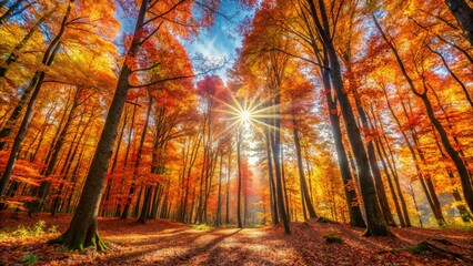 Wall Mural - Autumn Forest Trees - Majestic Fall Foliage, Golden Canopy, Nature Scene