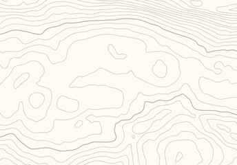 Leinwandbilder - Topographic map background with altitude lines. Abstract terrain topography with elevation levels of the relief