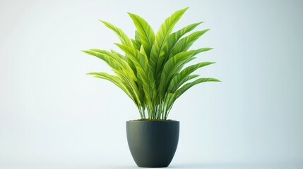 Wall Mural - Vibrant Vriesea plant in a sleek pot against a minimalistic white backdrop ideal for interior design and botanical themes.