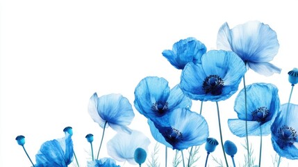 Wall Mural - vibrant close-up of rare blue poppies with delicate petals and blank space for text or design use