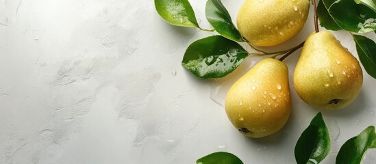 Wall Mural - Ripe Fresh Pears with Dew Drops and Green Leaves on Light Background for Text Space