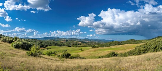 Sticker - Vast Green Landscape Panorama Under a Bright Blue Sky with Clouds and Open Space for Text or Design Elements