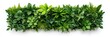 © VISA-3UK - Lush green plant arrangement indoor space botanical display vibrant environment top-down view nature concept