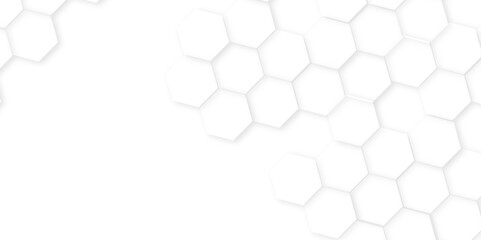 Abstract background with white color hexagons,Abstract white and grey color hexagonal geometric background with copy space. geometric mesh cell texture.