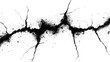 © ma - Black ink cracks on a white background, a simple and clean style, created using digital art techniques.