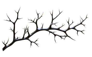 png branch branch design illustration.