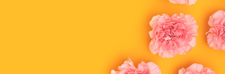 Wall Mural - banner with pink carnation flowers on a yellow background.