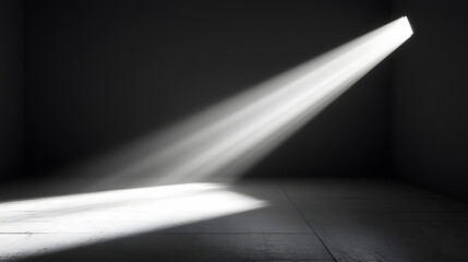Wall Mural - a black and white photo of a room with a light shining on the floor