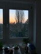 © Анастасия Чус - window in the morning