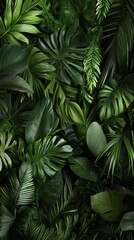 Wall Mural - Lush greenery featuring various tropical leaves in vibrant shades of green.