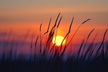Poster - Sunset rays shining through golden ears of wheat in a serene field landscape. Generative AI