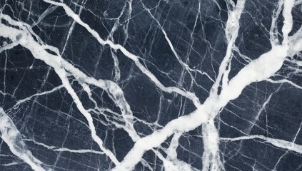 Wall Mural - close-up of raw marble with elegant white veins on deep black background, polished