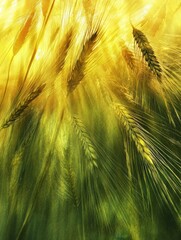 Poster - Golden rays illuminate fields of wheat at sunset, creating a serene agricultural landscape. Generative AI