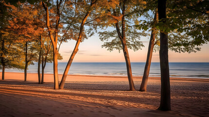 Canvas Print - Autumn Trees Frame a Serene Beach Sunset View with Golden Sand and Gentle Waves at Dusk