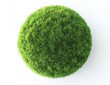 © Nurul - Lush green grass sphere on white background. (7)