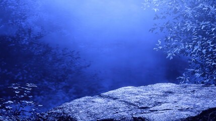 Wall Mural - Mystical blue forest night, stone platform, background bokeh, product display