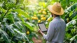 © Sirichat. Camphol - A farmer monitoring the growth of tropical fruits on a sustainable plantation,