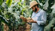 © Sirichat. Camphol - A farmer monitoring the growth of tropical fruits on a sustainable plantation,
