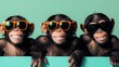 © SlashStd - Three chimps in sunglasses, holding sign, teal background, fun