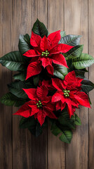 Poster - red poinsettia christmas traditional flower on wooden background