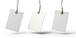 © Diana - Three blank white clothing tags hanging in mid-air against a white background. This minimalistic mockup is perfect for branding, label designs, and product presentations.