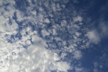 Large fleecy clouds, altocumulus, Germany, Europe